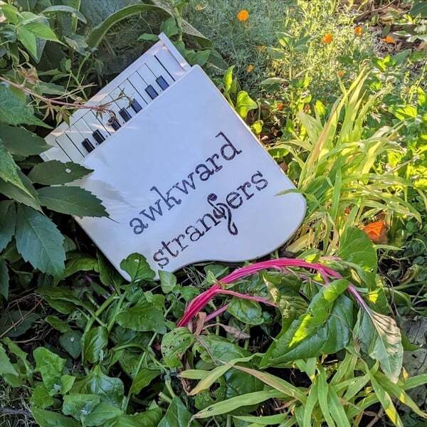 Cover art for In the Wild